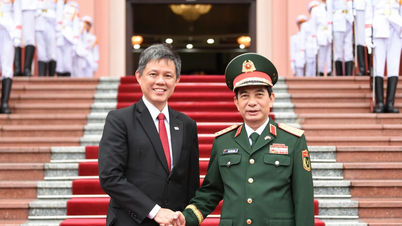 Đại tướng Phan Văn Giang hội đàm với Bộ trưởng Quốc phòng Singapore