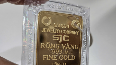 Giá vàng miếng SJC chạm mốc 122 triệu đồng/lượng