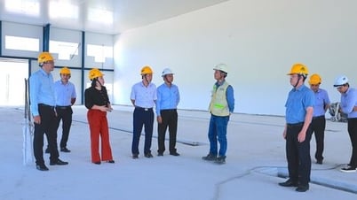 Tháo gỡ khó khăn cho doanh nghiệp đầu tư trên địa bàn xã Ninh Điền