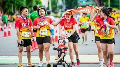 Quảng Trị: Dự kiến gần 3000 VĐV tham gia các giải chạy marathon và giải Aqua Warriors