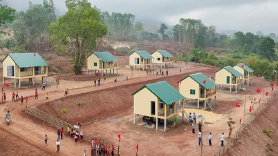 Hành trình trải nghiệm và cống hiến