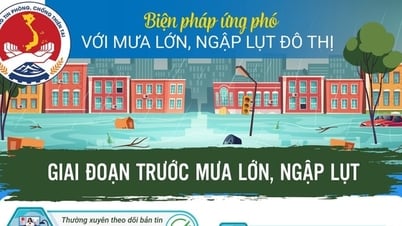 Kỹ năng ứng phó gió mạnh, mưa lớn, ngập lụt