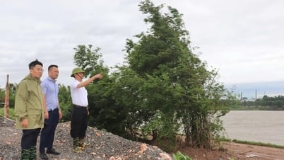 Lãnh đạo xã Thuận An kiểm tra công tác ứng phó bão số 3