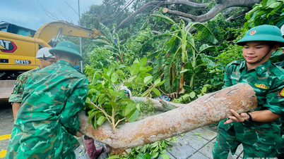 Bộ đội Biên phòng tỉnh Quảng Ninh hỗ trợ địa phương khắc phục hậu quả bão số 3
