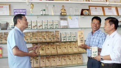 Điểm sáng của kinh tế hợp tác ở Lâm Đồng