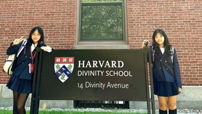 Hai học sinh Đà Nẵng đoạt giải Á quân cuộc thi Harvard Crimson Business Competition 2025