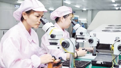 Bắc Ninh: Đồng bằng, miền núi chắp cánh vươn mình