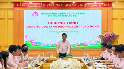 Ngân hàng Chính sách Xã hội Trung ương làm việc tại tỉnh Lào Cai