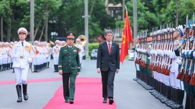 Tăng cường hợp tác quốc phòng Việt Nam-Singapore