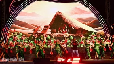 Khi biển cả và đại ngàn hòa ca