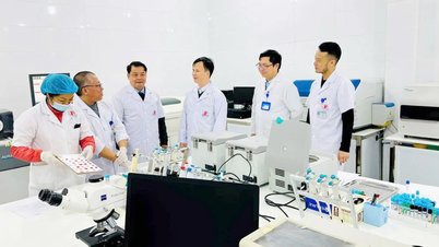 Phòng Xét nghiệm, Trung tâm Y tế khu vực Văn Yên - Đơn vị y tế khu vực đầu tiên tại Việt Nam đạt ISO 15189:2022