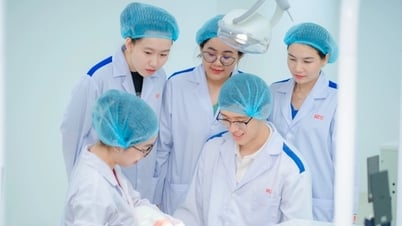 Điểm sàn nhóm ngành sư phạm và sức khỏe năm 2025, cao nhất 20,5