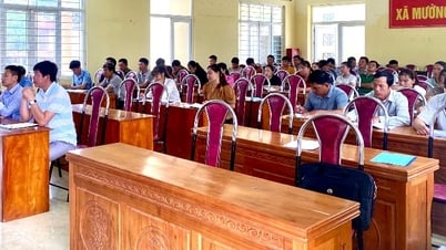 Tập huấn kỹ thuật nhân giống và thâm canh cây dổi