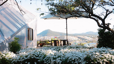 Quán cafe đẹp ở Đà Lạt cho tín đồ sống ảo, chill từ khung hình đến tâm hồn