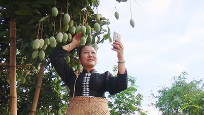 Đưa trái cây Sơn La đi xa nhờ ứng dụng công nghệ số