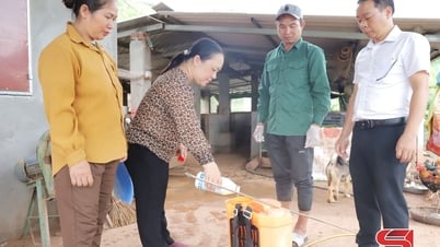 Tập trung phòng, chống dịch cúm gia cầm