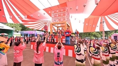 Thành phố Hồ Chí Minh đề xuất tổ chức Lễ hội Việt - Nhật 2026 đa dạng, đậm bản sắc biển Việt Nam