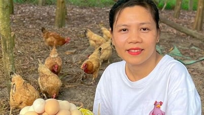 Nữ vận động viên khởi nghiệp với ý chí kiên cường