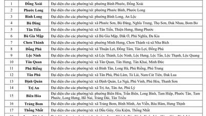 Cảnh báo dông, lốc, sét, mưa đá và mưa lớn cục bộ tại Đồng Nai