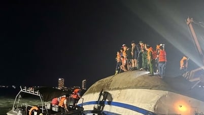 Dự kiến chi trả bảo hiểm trên 14 tỷ đồng vụ lật tàu Vịnh Xanh 58