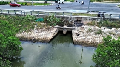 ¿Qué hace Khanh Hoa para acabar con la contaminación del río Quan Truong?