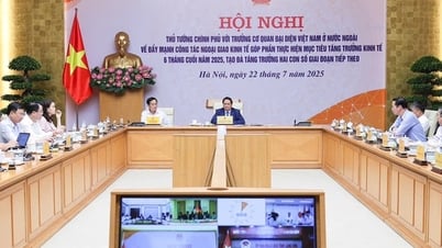 Công tác ngoại giao kinh tế được triển khai cụ thể, thực chất, mở ra nhiều hướng đi mới
