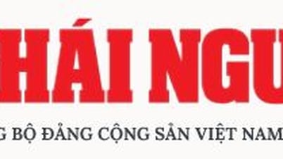 Đòn bẩy cho phát triển bền vững