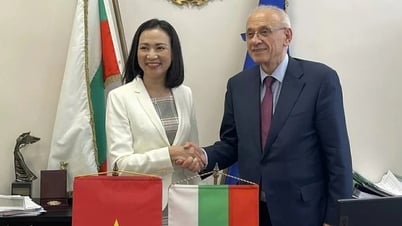 Việt Nam - Bulgaria đẩy mạnh hợp tác trong lĩnh vực y tế và đào tạo nguồn nhân lực