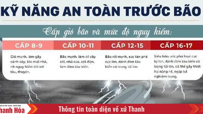 Khuyến cáo 10 kỹ năng an toàn khi bão số 3 đổ bộ