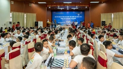 Hơn 400 kỳ thủ dự giải cờ vua trẻ quốc gia