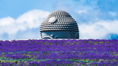 Khám phá ngọn đồi của Đức Phật ở Hokkaido: Atama Daibutsu – Hành trình tĩnh lặng giữa sắc tím hoa oải hương