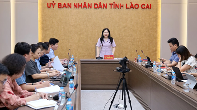 Phó Chủ tịch UBND tỉnh Vũ Thị Hiền Hạnh làm việc với Sở Y tế về tiến độ triển khai Hồ sơ bệnh án điện tử và tháo gỡ những khó khăn, vướng mắc về công tác y tế sau khi hợp nhất