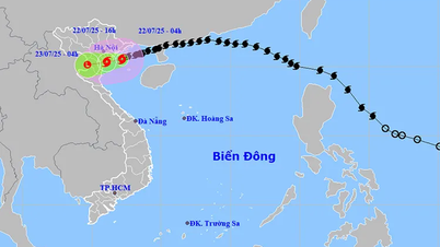 Bão số 3 (Wipha) gây biển động dữ dội, Bắc Bộ mưa lớn và ngập lụt