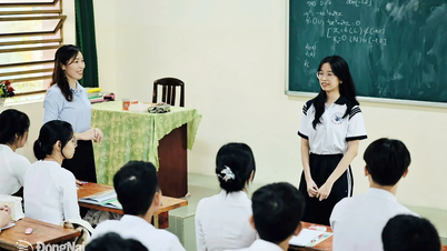 Bộ Giáo dục và đào tạo công bố điểm sàn nhóm ngành đào tạo giáo viên và sức khỏe năm 2025