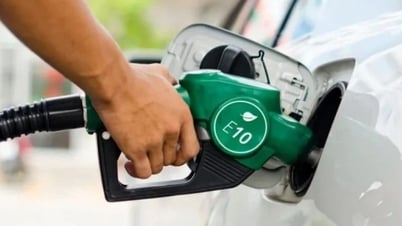 Quảng Ngãi: Chuẩn bị cho lộ trình bắt buộc sử dụng xăng E10