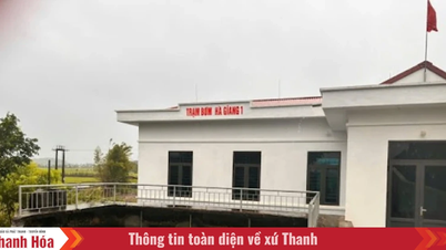 Vận hành 34 trạm bơm tiêu úng chủ động để bảo vệ sản xuất nông nghiệp