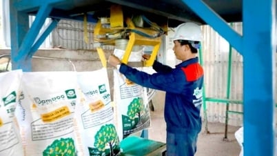 Nắm bắt thời cơ từ chính sách thuế