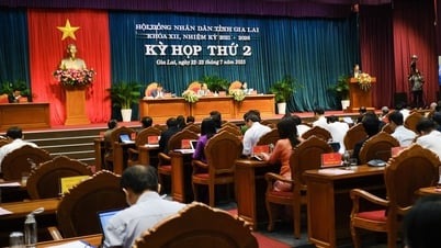 Gia Lai đề nghị thu hồi nhiều dự án đầu tư quá hạn không triển khai