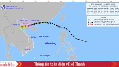 Bão cách Ninh Bình 70km, giật cấp 13