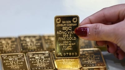 Dự báo giá vàng ngày mai 23/7/2025: Đạt đỉnh 5 tuần rồi "hạ cánh", liệu có bay cao hơn?