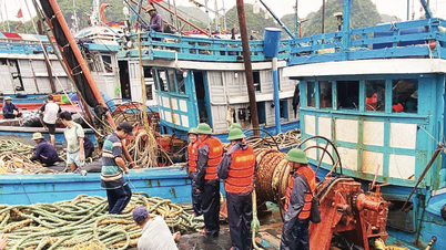 Chạy đua với thời gian, khẩn trương ứng phó bão số 3