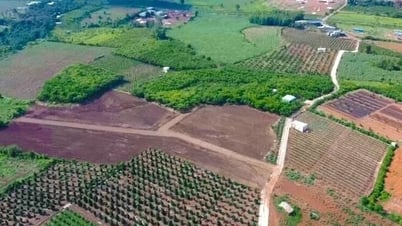 Chuyển đất nông nghiệp sang đất ở: Bộ Tài chính đề xuất giảm tiền sử dụng đất