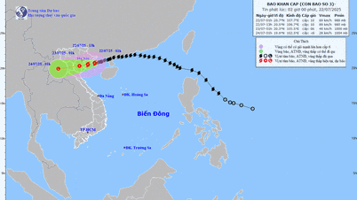 Bão Wipha giật cấp 13 hiện cách Hải Phòng khoảng 70km, đổ...