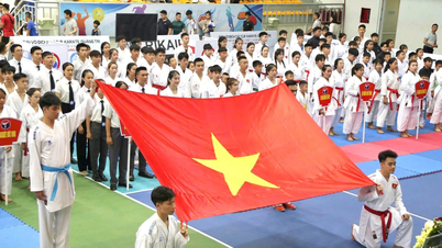 Quyết tâm đưa Karate Quảng Trị phát triển lên tầm cao mới