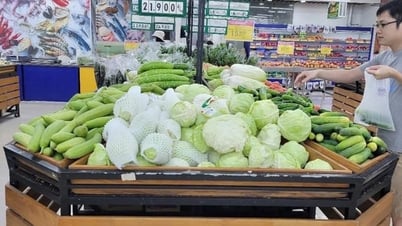 Siêu thị Hà Nội sẵn sàng nguồn hàng