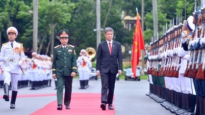 Singapore sẵn sàng đón quân nhân Việt Nam sang đào tạo