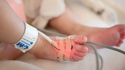 Tìm ra 2 cách mới giúp 'hồi sức' tim bên ngoài cơ thể