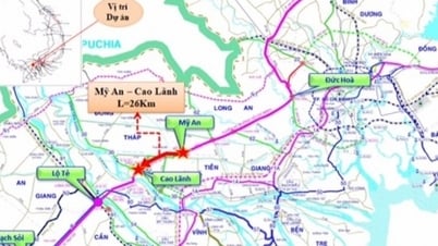 My An - Cao Lanh Expressway through Dong Thap is eligible to start construction on July 26