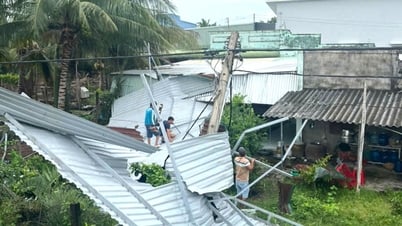 Lâm Đồng: Bão số 3 gây thiệt hại 13,6 tỷ đồng tại 24 địa phương