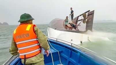 Ba điều cần nhớ để sinh tồn khi đi đường sông, đường biển